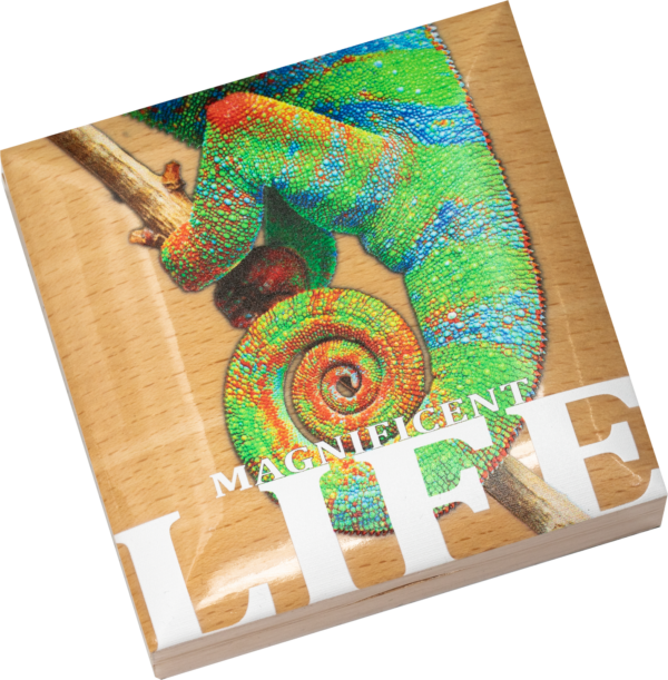 2020 Cook Islands Magnificent Life Chameleon 1 oz Silver Coin - Image 4