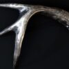 2022 GR Reserve Custom Buck Shed Antler 3oz Silver 3D Shaped - Image 3