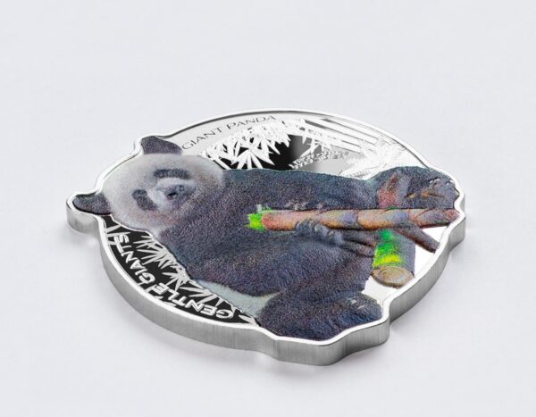 2022 Solomon Islands Gentle Giants - Giant Panda 1oz Silver Colorized Coin - Image 5