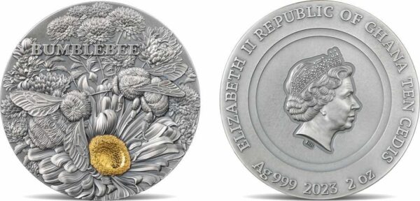 2023 Ghana Nature Architects Bumblebee 2oz Silver Antique Coin - Image 8