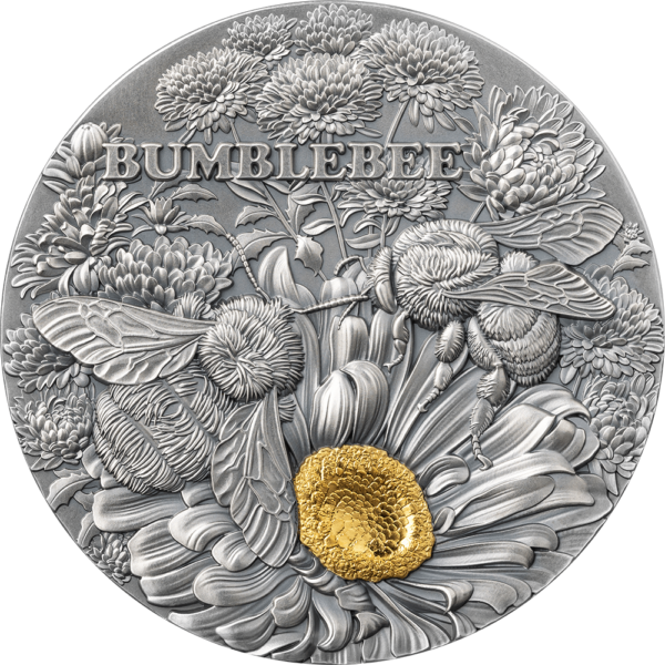 2023 Ghana Nature Architects Bumblebee 2oz Silver Antique Coin