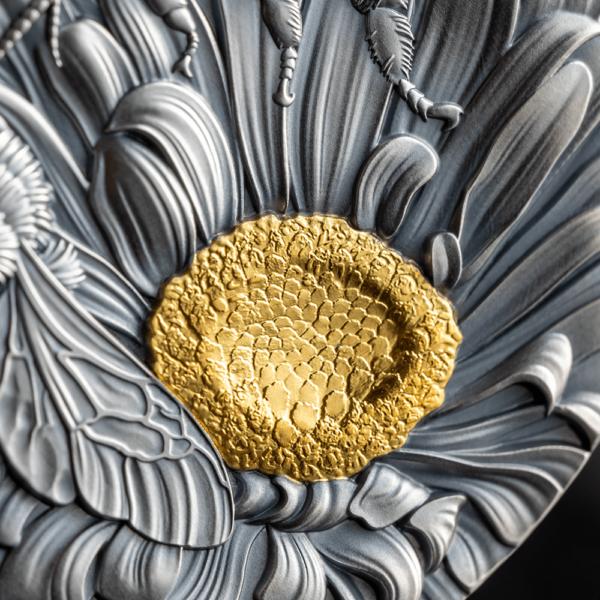 2023 Ghana Nature Architects Bumblebee 2oz Silver Antique Coin - Image 5