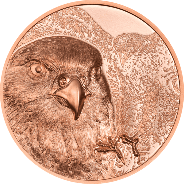 A copper proof-like coin from Mongolia, featuring a detailed, relief-style depiction of a falcon's head on the front.