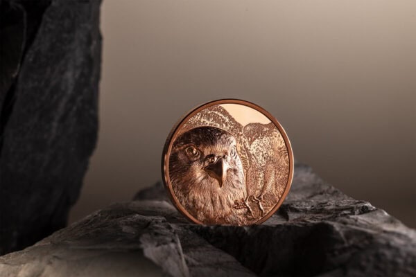 A 2023 Mongolia Wild Mongolian Falcon 50g copper proof-like coin, positioned upright on a dark, textured rock. The coin's design of a falcon's head is clearly visible.