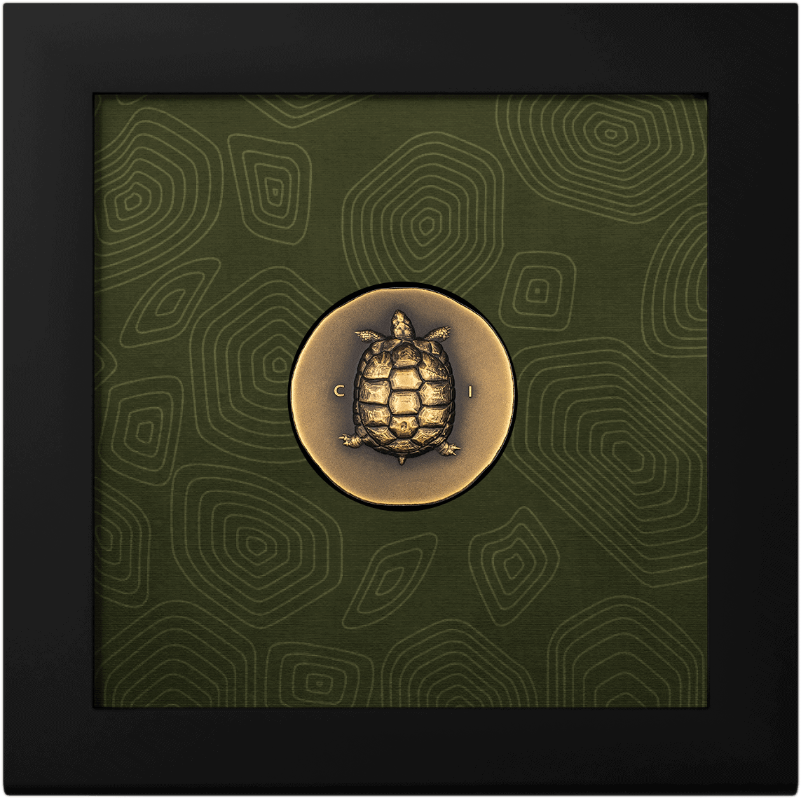 Turtle coin collectible with detailed shell design, green background, gold accents, and vintage appearance, emphasizing craftsmanship and uniqueness.