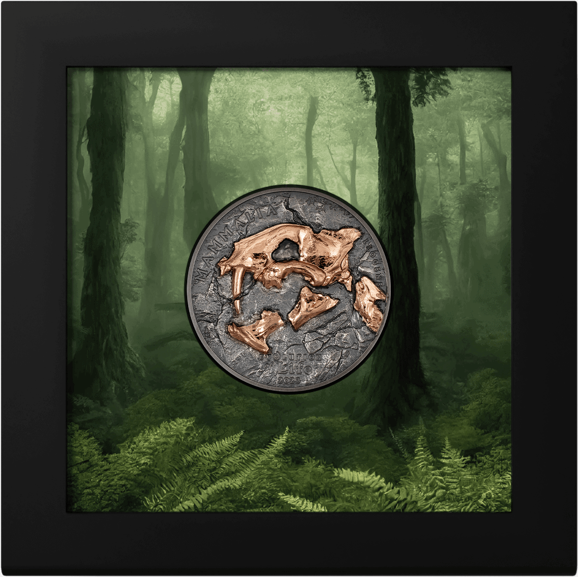 Madeira 2023 commemorative coin in a shadow box with a forest background, showcasing intricate island map details and a mix of bronze and silver tones on a textured metal surface.