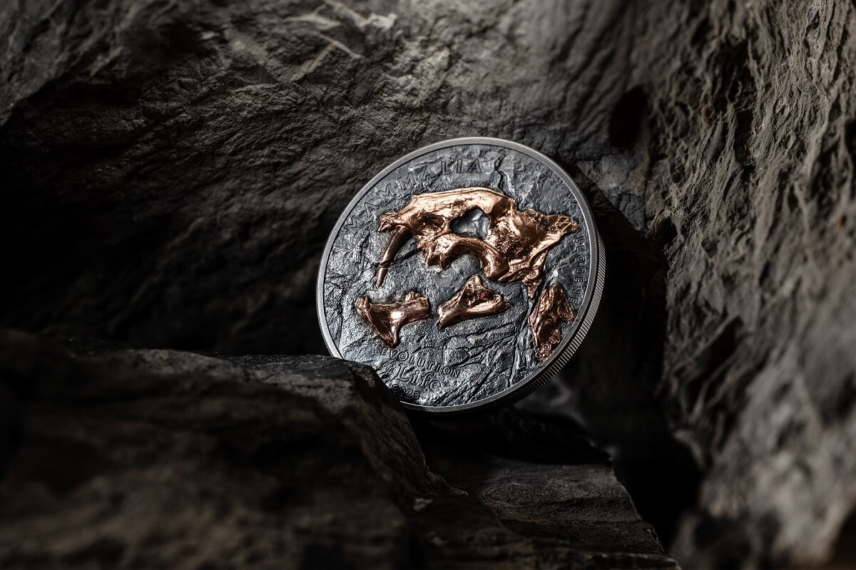 Shiny Australian two-dollar coin with a kangaroo design, metallic finish, and detailed engravings, placed between rough rocks.