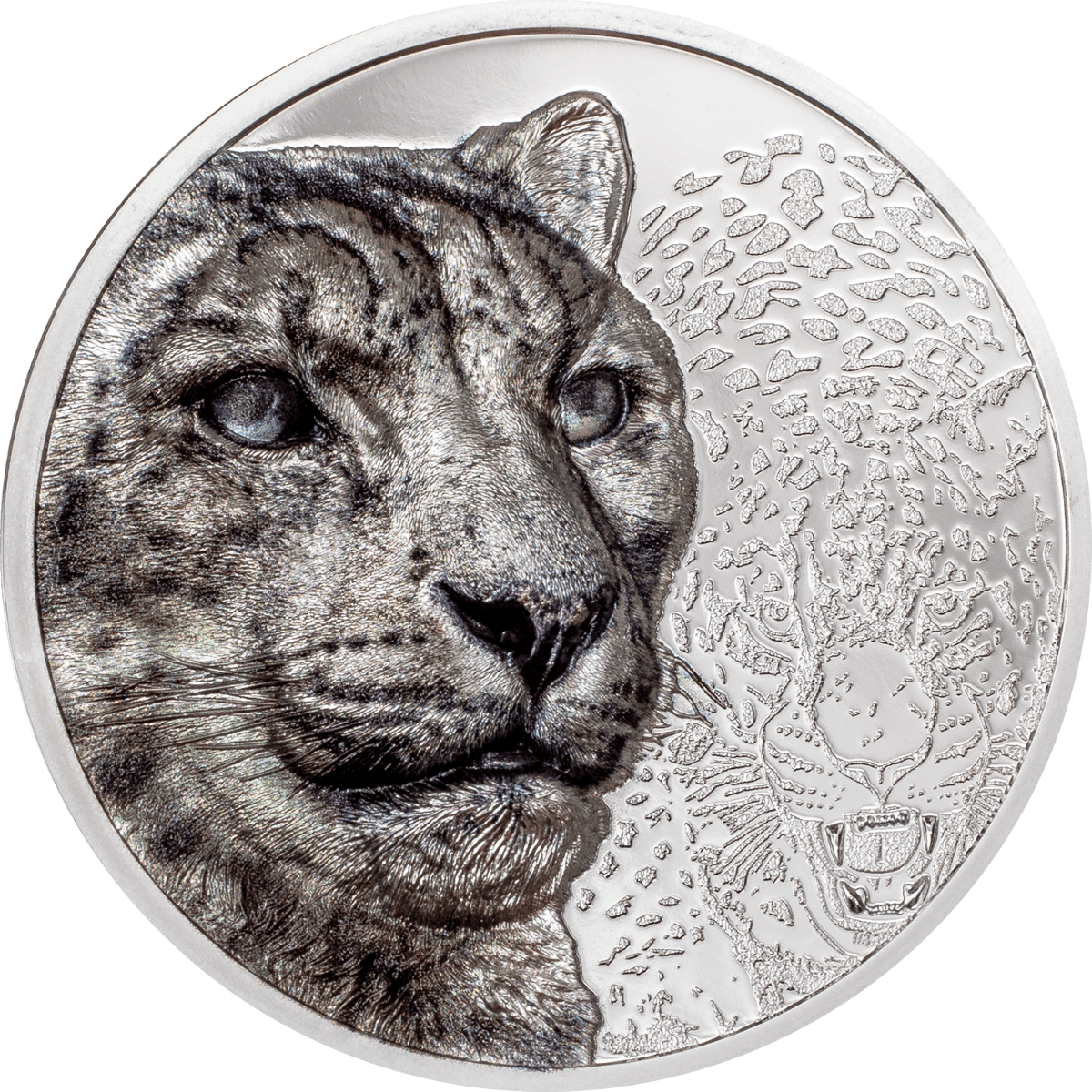 2024 Mongolia Wild Mongolia Snow Leopard 3 Oz Silver Colorized Proof Coin GR Reserve Front 