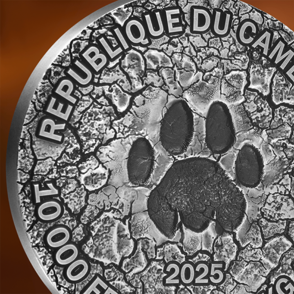 2025 Cameroon Circle of Life The Grand Hunting 1 Kilo Silver Antiqued High Relief Coin - Image 6