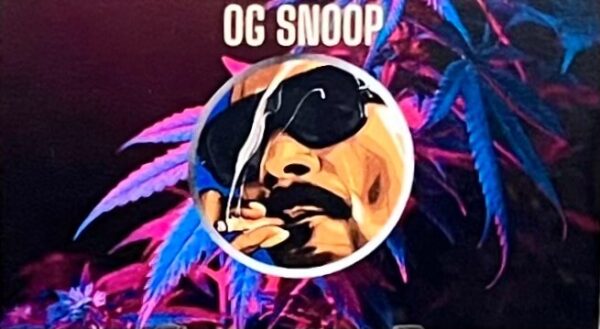 2025 Stoner Stackers OG Snoop 1 oz Silver Colorized UV Gloss Printed Coin - Image 3