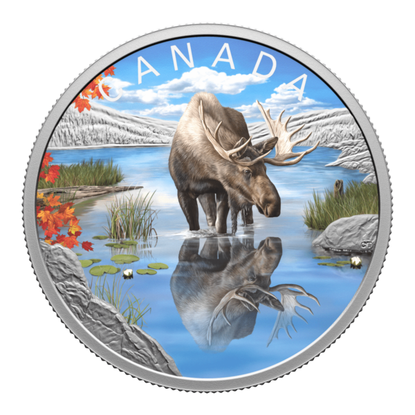 2024 Canada Wildlife Reflections Moose 1 oz Silver Colorized Coin NGC PF 70 UCAM - Image 3