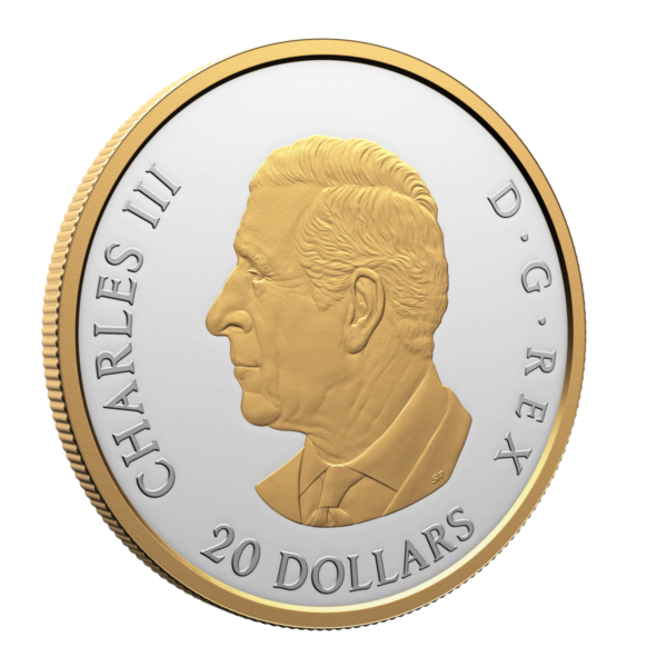 Back side view of the 2025 Canada Animal Portraits Elk 1 oz Silver Gilded Proof Coin showing the effigy of King Charles III, gold-plated rim, serrated edge, and proof finish.