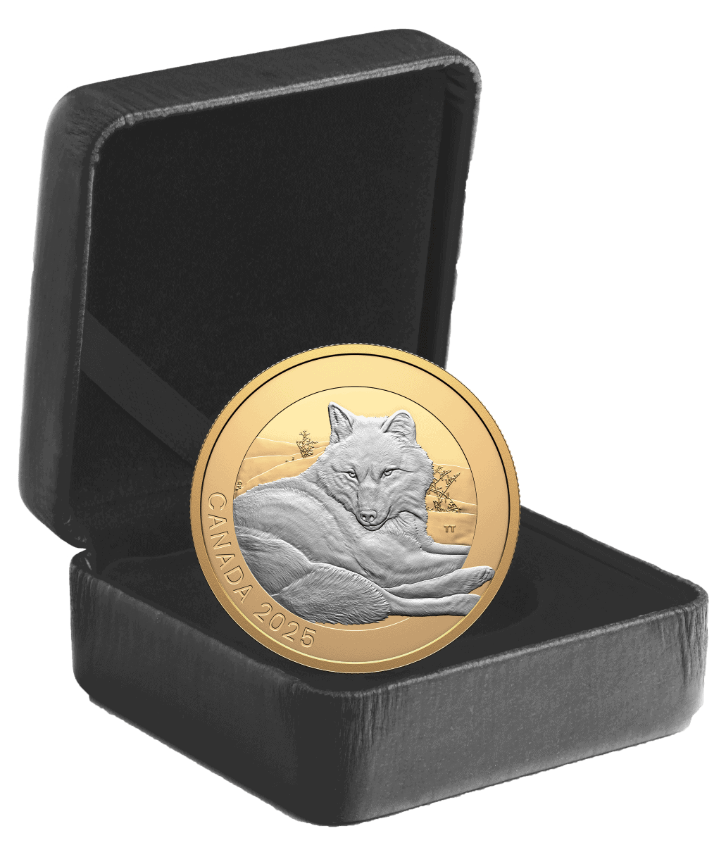 2025 Canada Silver Coin with Wolf Design in Open Black Display Case.