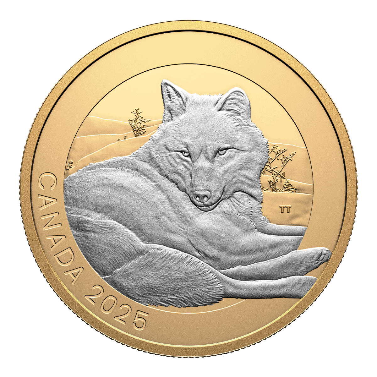 Vivid Canadian 2025 coin featuring a detailed illustration of a wolf resting in a natural landscape, with gold and silver finish highlighting the wildlife artwork.