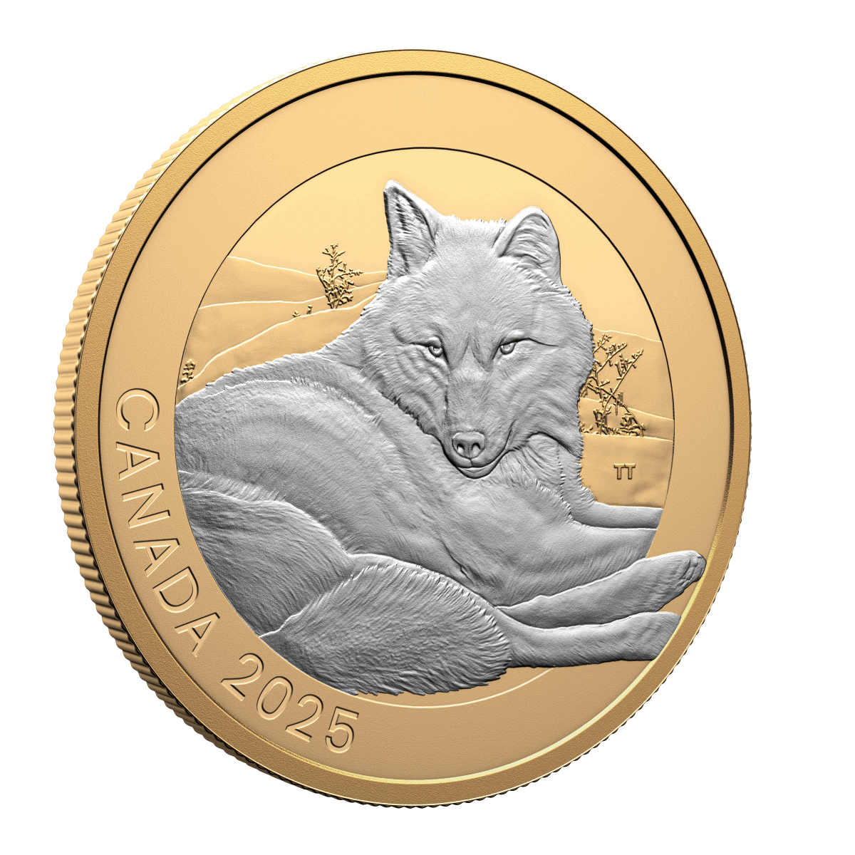 2025 Canada Animal Portraits Grey Wolf 1 oz Silver Gilded Coin