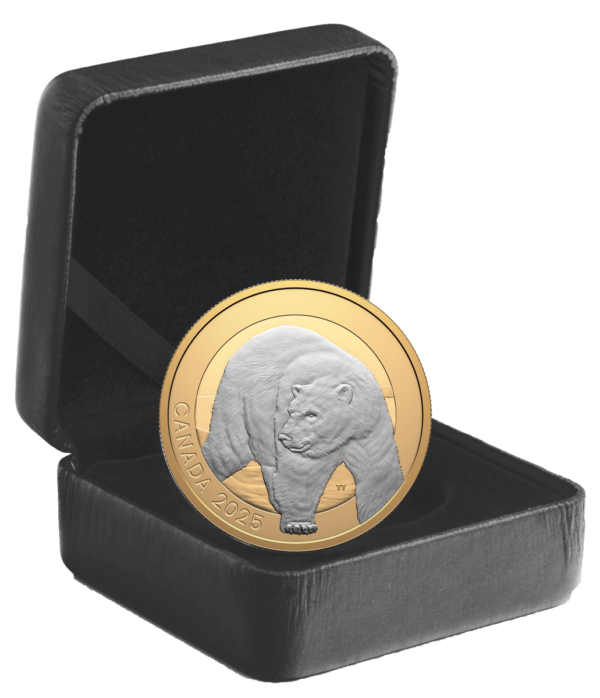 2025 Canada Animal Portraits Polar Bear 1 oz Silver Gilded Proof Coin - Image 6