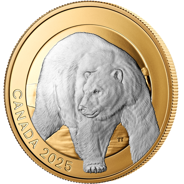 2025 Canada Animal Portraits Polar Bear 1 oz Silver Gilded Proof Coin - Image 3