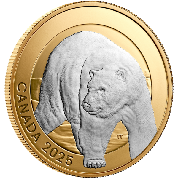 2025 Canada Animal Portraits Polar Bear 1 oz Silver Gilded Proof Coin - Image 4