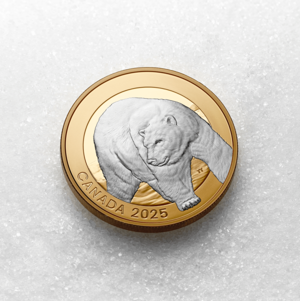 2025 Canada Animal Portraits Polar Bear 1 oz Silver Gilded Proof Coin - Image 5