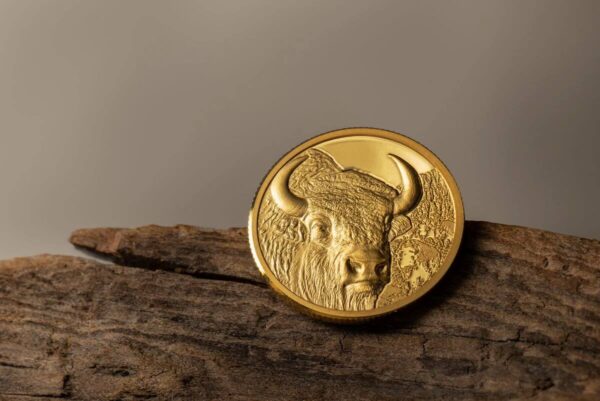 2025 Mongolia Wild Mongolia Bison 1/10 oz Gold High Relief Proof Coin - Image 3