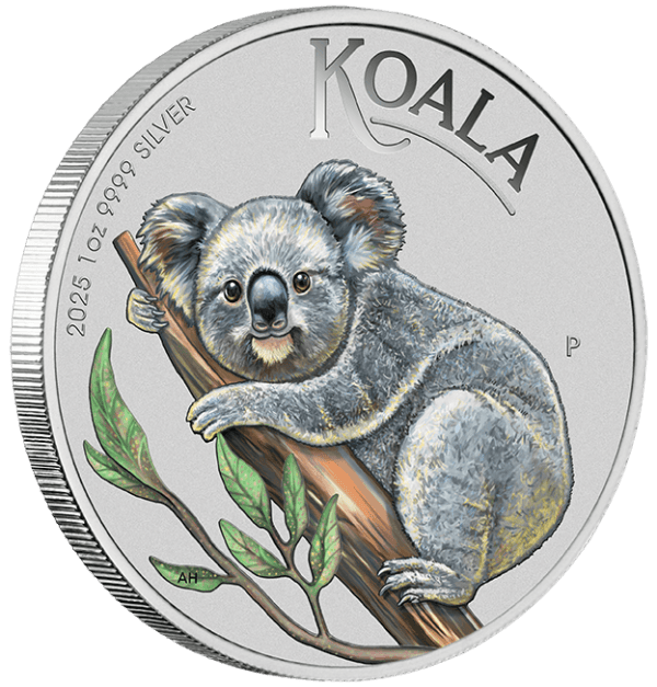 Side view of 2025 Koala 1oz Silver Colorized Coin featuring a koala on a tree branch