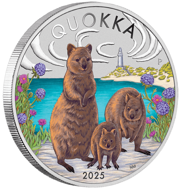 Angled view of the 2025 Australia Quokka 1 oz Silver Colorized Coin featuring three quokkas in a coastal setting with purple flowers and ocean horizon; inscriptions “QUOKKA” and “2025” appear on top and bottom, with silver edge visible against a dark background.