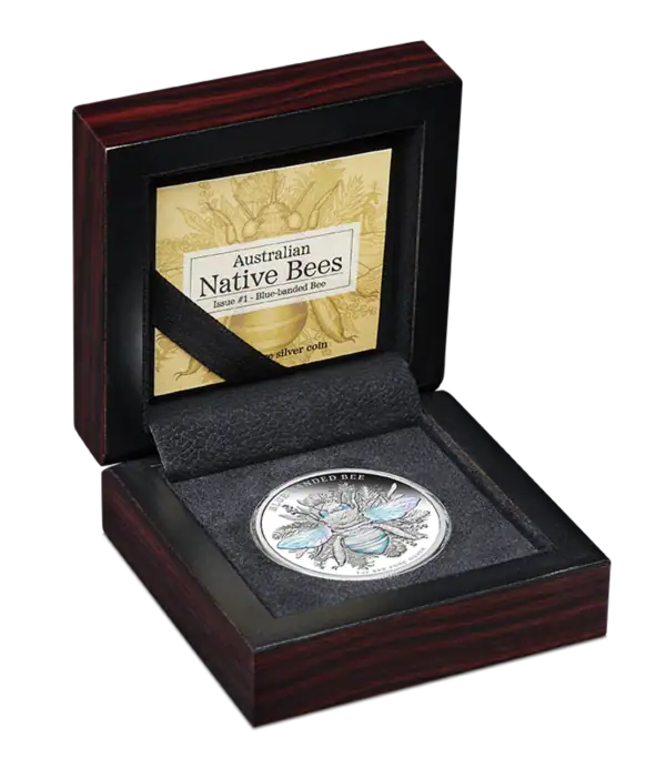 2025 Niue Australian Native Bees Blue Banded Bee 1 oz Silver Proof Hologram Coin in open display box presentation