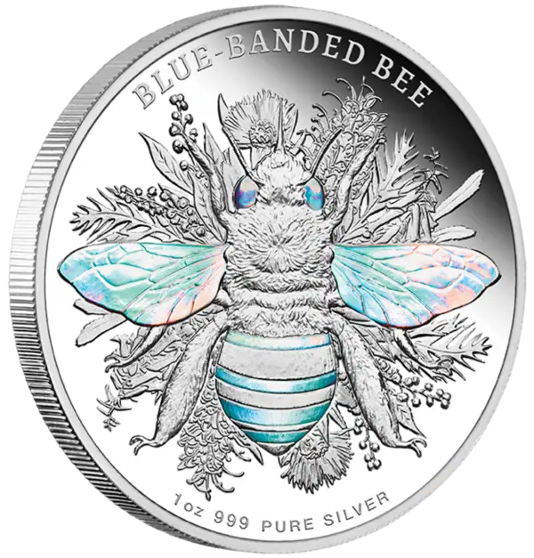2025 Niue Australian Native Bees Blue Banded Bee 1 oz Silver Proof Hologram Coin angled view front side