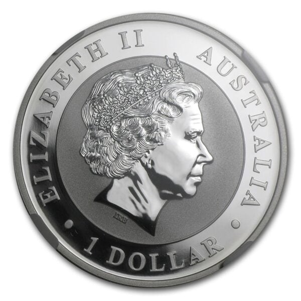 2025 Canadian Beaver 3 oz Silver Double High Relief Proof Coin in open black display box