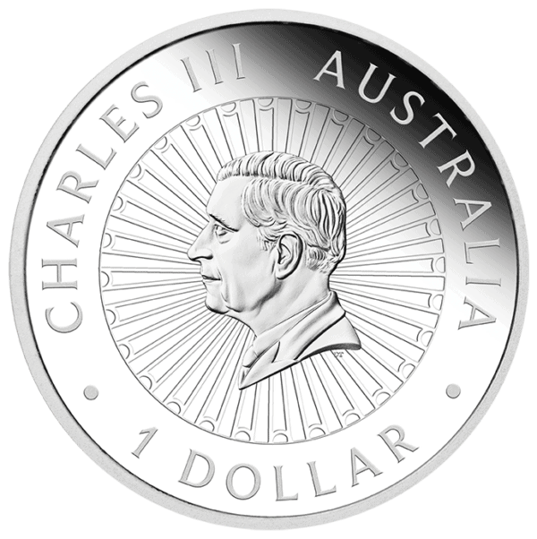 Reverse of 2025 Australia Great Southern Land silver coin featuring King Charles III and 1 Dollar denomination.