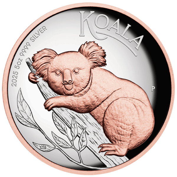 2025 Australia Koala 5 oz silver proof coin featuring high-relief gilded design and 9999 fine silver.