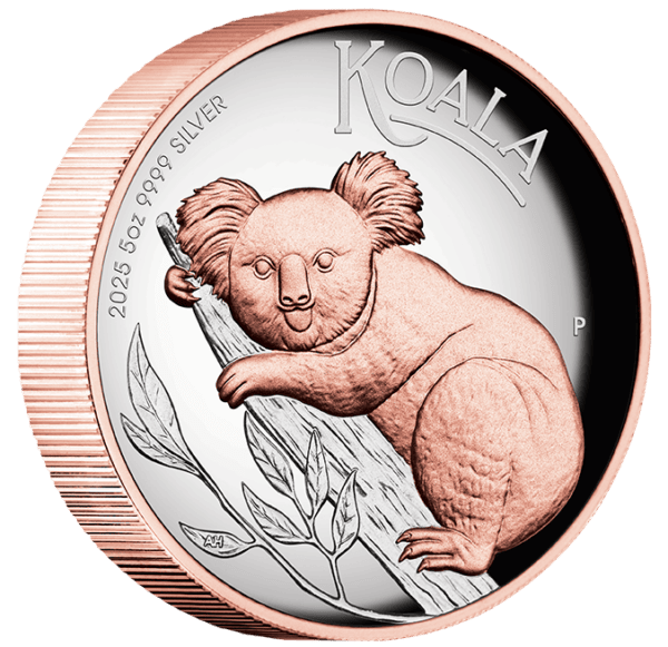 Obverse of 2025 Australia Koala 5 oz silver coin featuring high-relief gilded koala design.