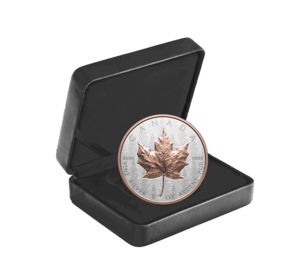 Open black presentation box with 2025 Canada Maple Leaf Pine Tree 5 oz Silver High Relief Gilded Coin