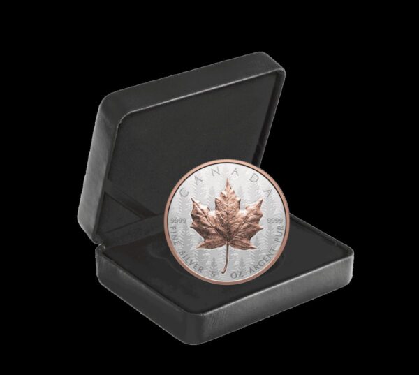 Rare 2023 Canada Silver Maple Leaf Coin in Black Presentation Case for Collectors.