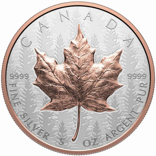 Front side of 2025 Canada Maple Leaf Pine Tree 5 oz Silver High Relief Gilded Coin featuring detailed maple leaf design
