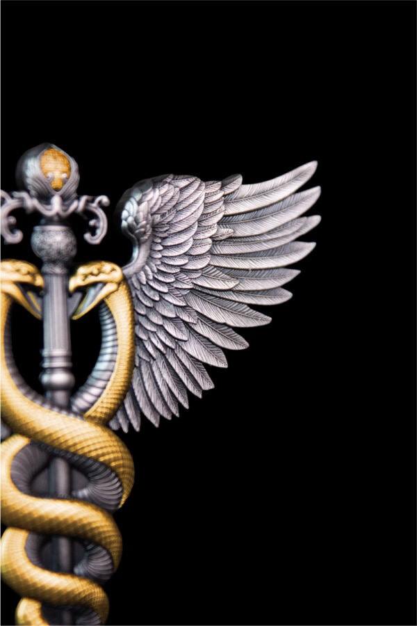 A close-up view of a winged staff, showing one of the detailed wings and the entwined serpents from the back.