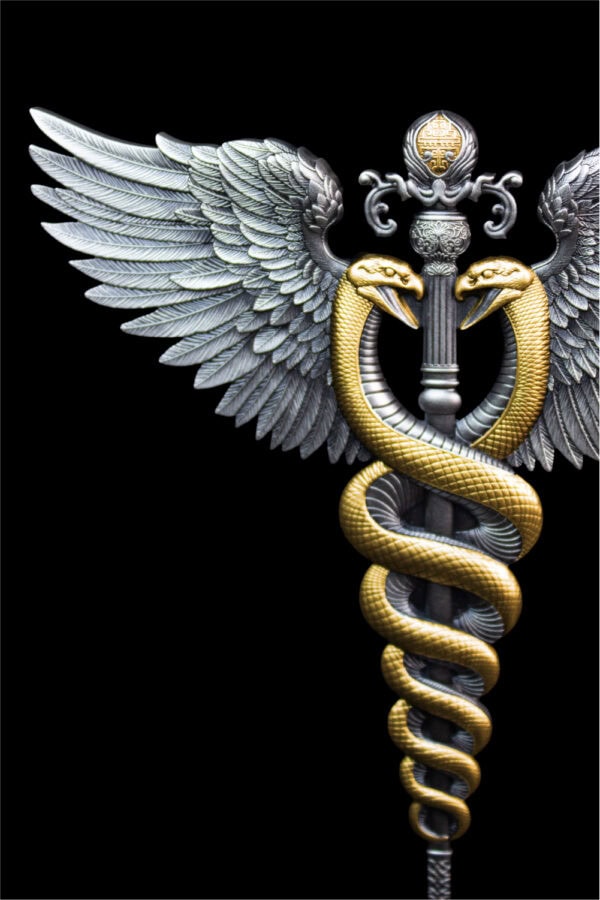 A close-up, high-detail shot of the back of a winged staff with two serpents intertwined around it.