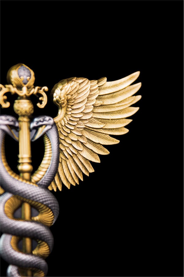 A close-up view of a gilded winged staff, showing one of the detailed wings and the entwined serpents.