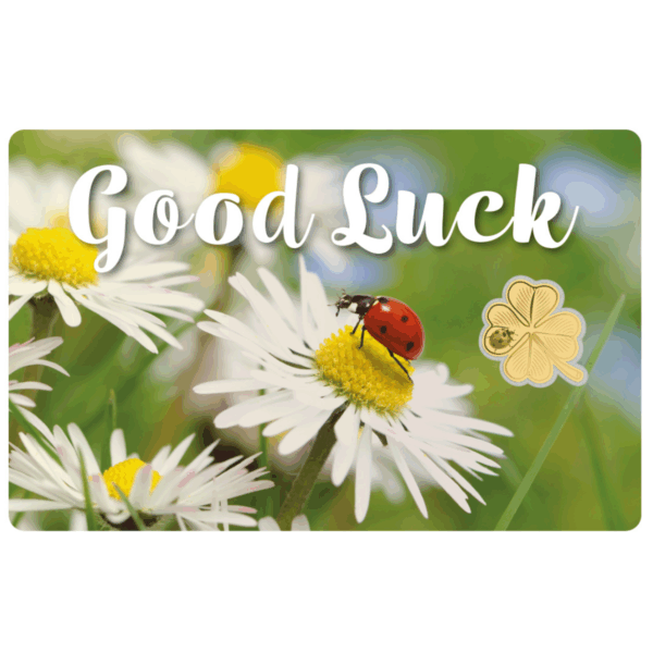 2024 Republic of Chad Good Luck 1/1000oz gold proof‑like coin assay card front with daisies, ladybug, and four‑leaf clover design.