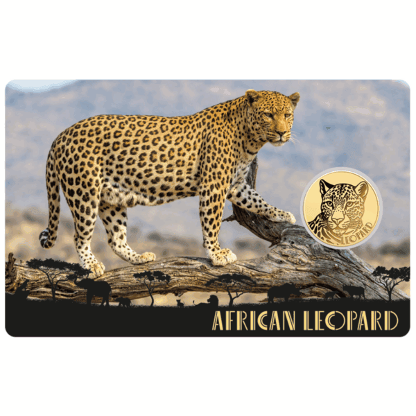 2024 Liberia African Leopard 1/1000oz .999 gold proof‑like coin assay card front with leopard illustration and coin inset.