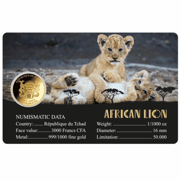 Reverse of 2024 Liberia African Lion 1/100oz .999 gold proof‑like coin assay card with lion cubs and numismatic specifications.