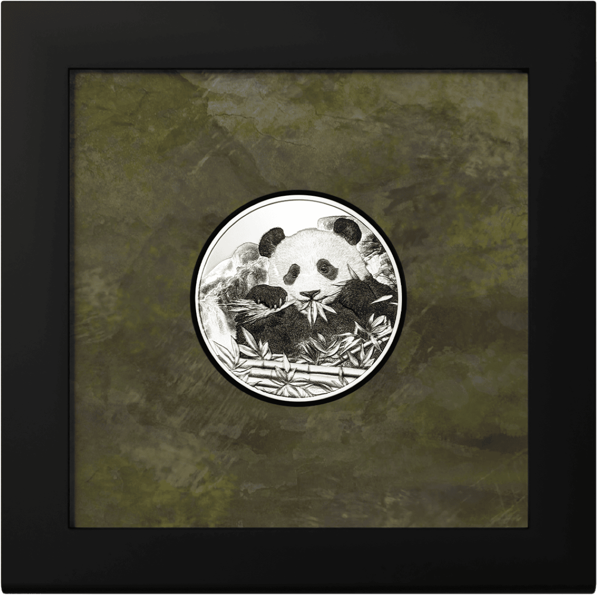 Panda panda coin with bamboo and mountainous background, in a black frame and protective display box.