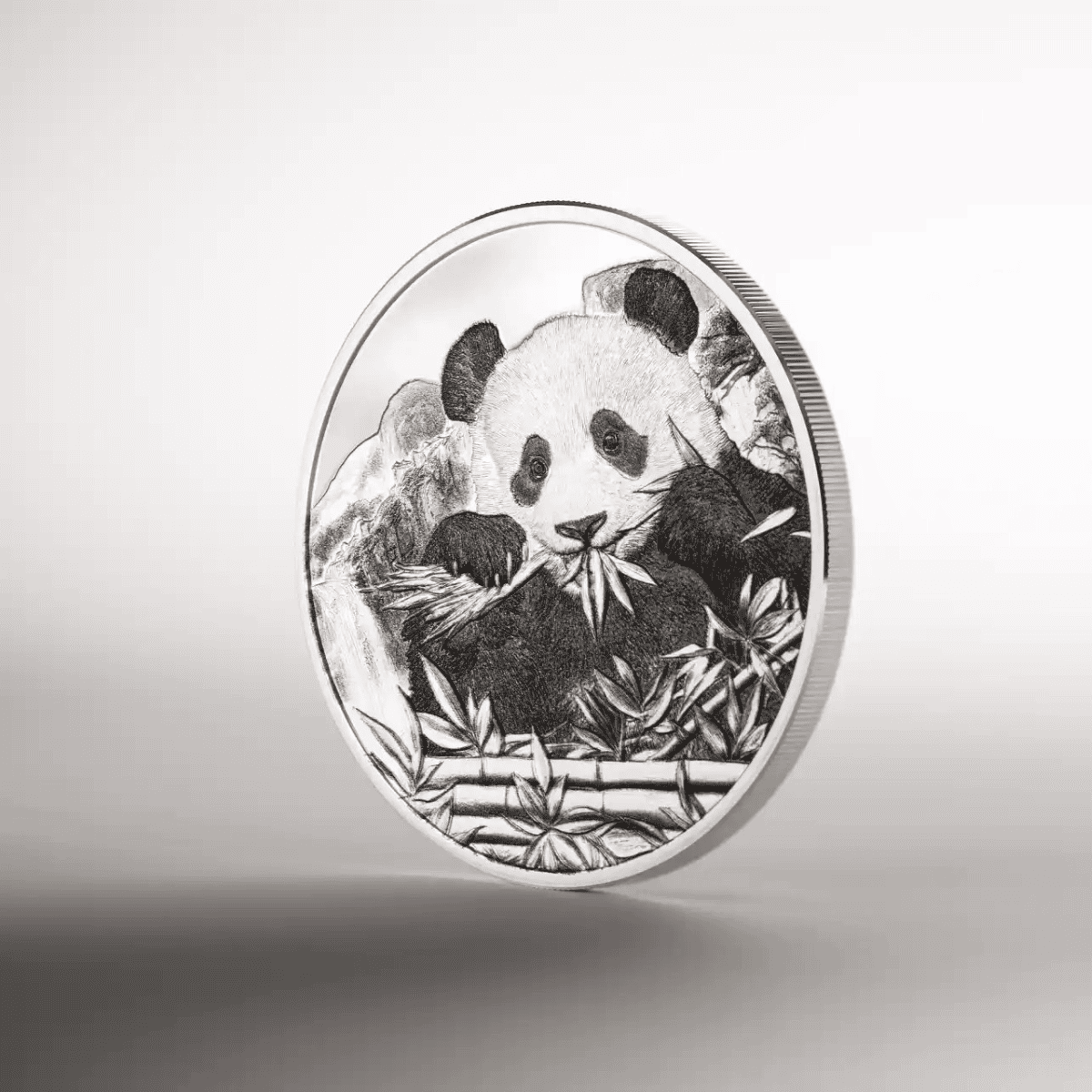 Shaded panda on silver proof coin, intricate mountain background and bamboo, collectible precious metal item for enthusiasts.