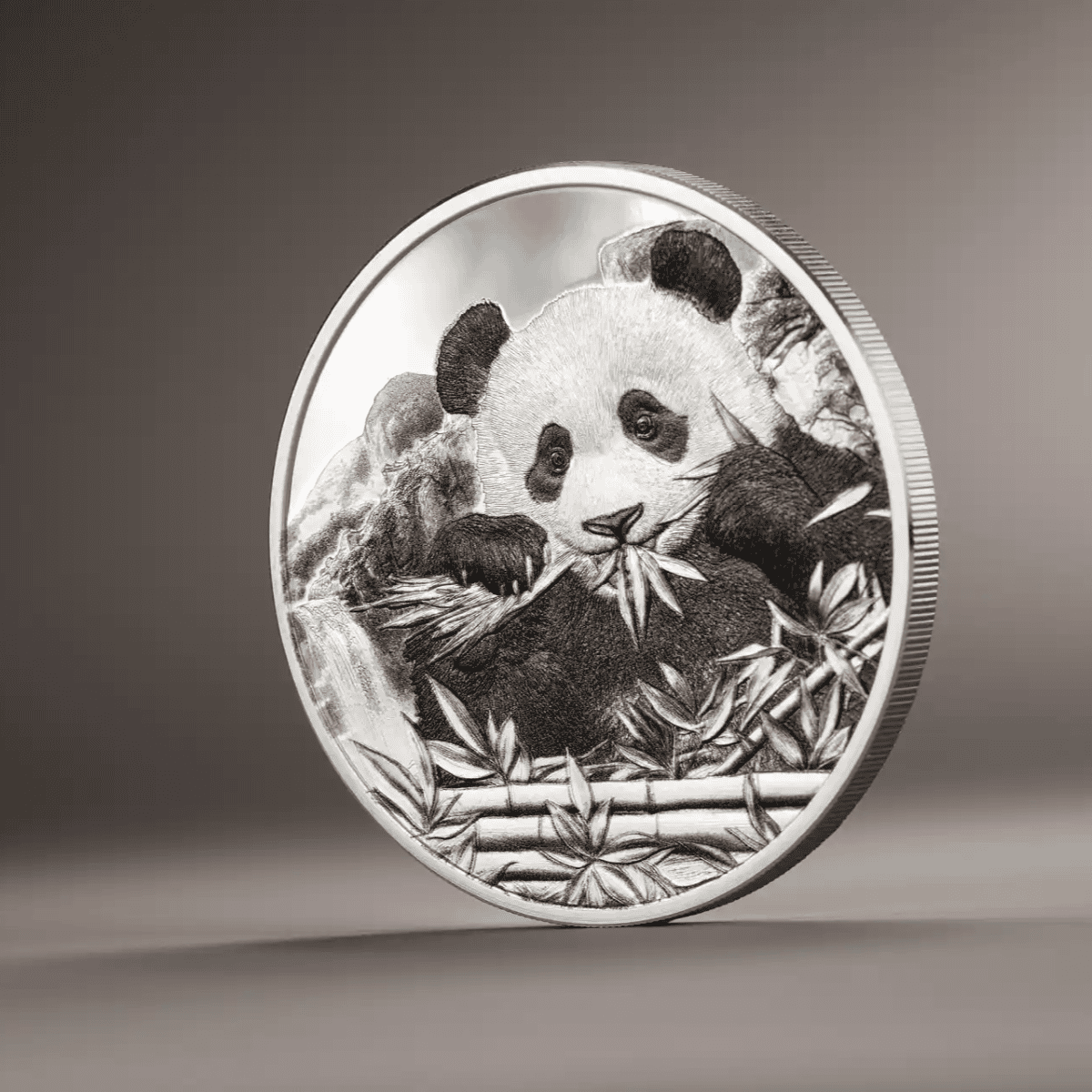 Panda illustration on a silver proof coin showing intricate black and white details.