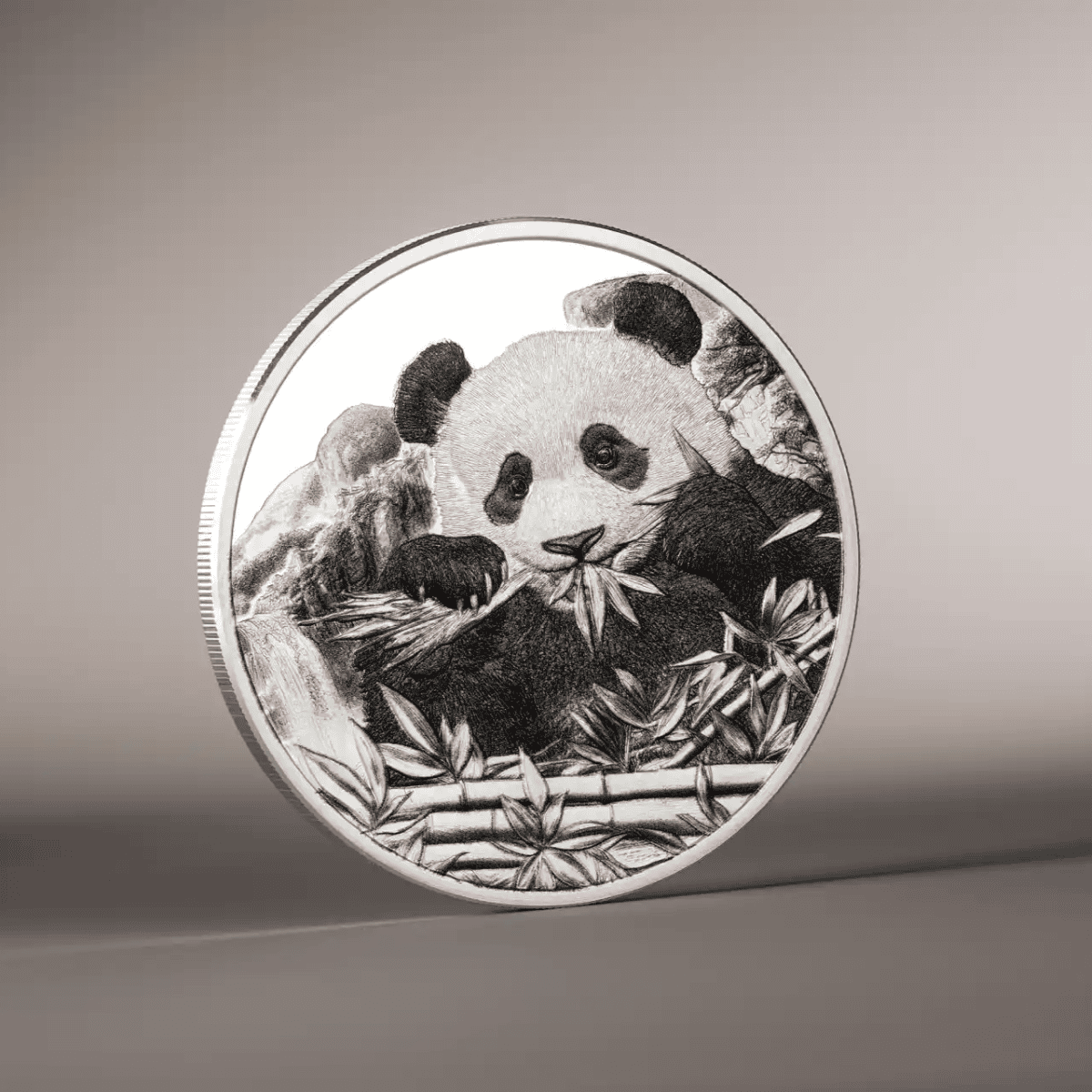 Panda panda bear engraved on a silver proof coin with bamboo and mountains background.