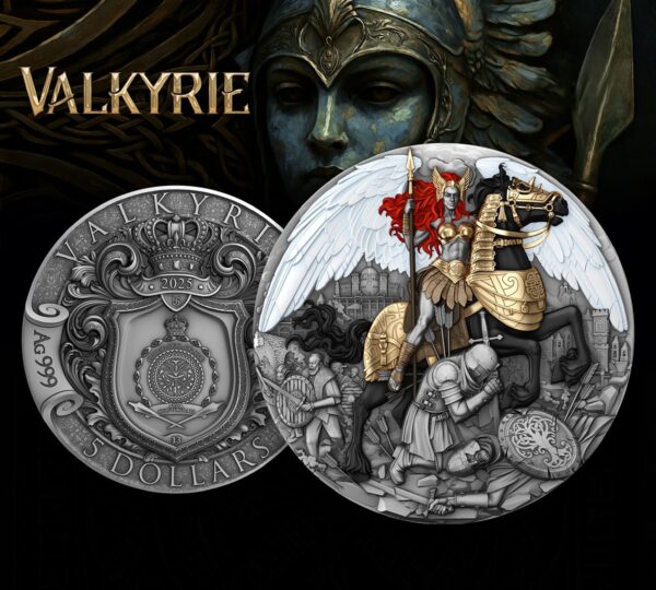 2025 Niue Valkyrie 2 oz Silver Antiqued High Relief Gilded Coin - Image 4