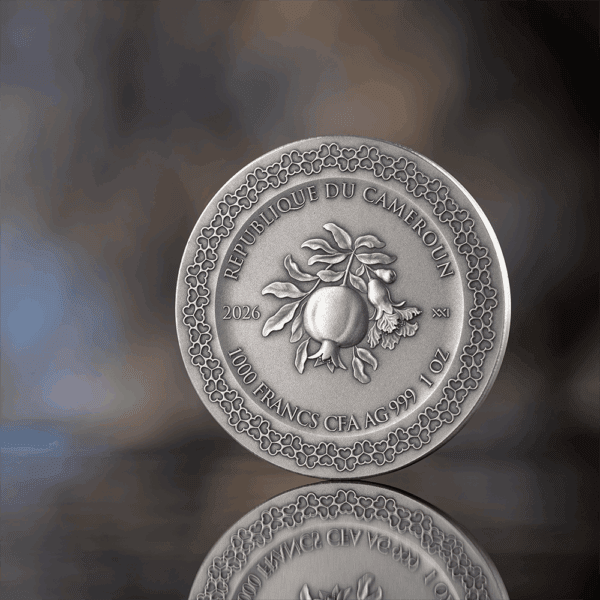 Shiny silver Cameroonian coin with citrus fruit and floral design, showcasing luxury collectibles.