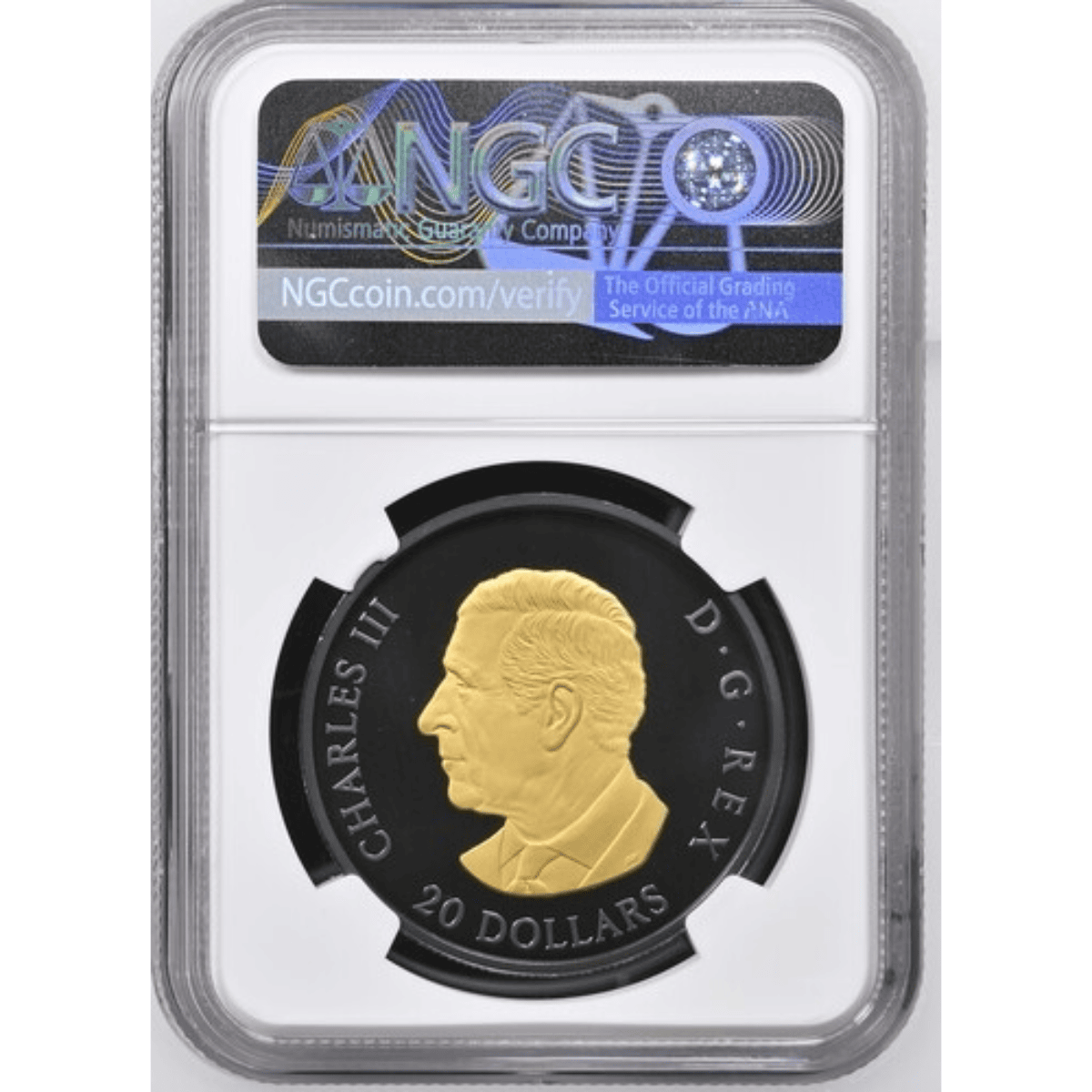 Bright angled view of 2025 Canada Maple silver coin, 1 oz, minted by Royal Canadian Mint, featuring gilded rhodium.