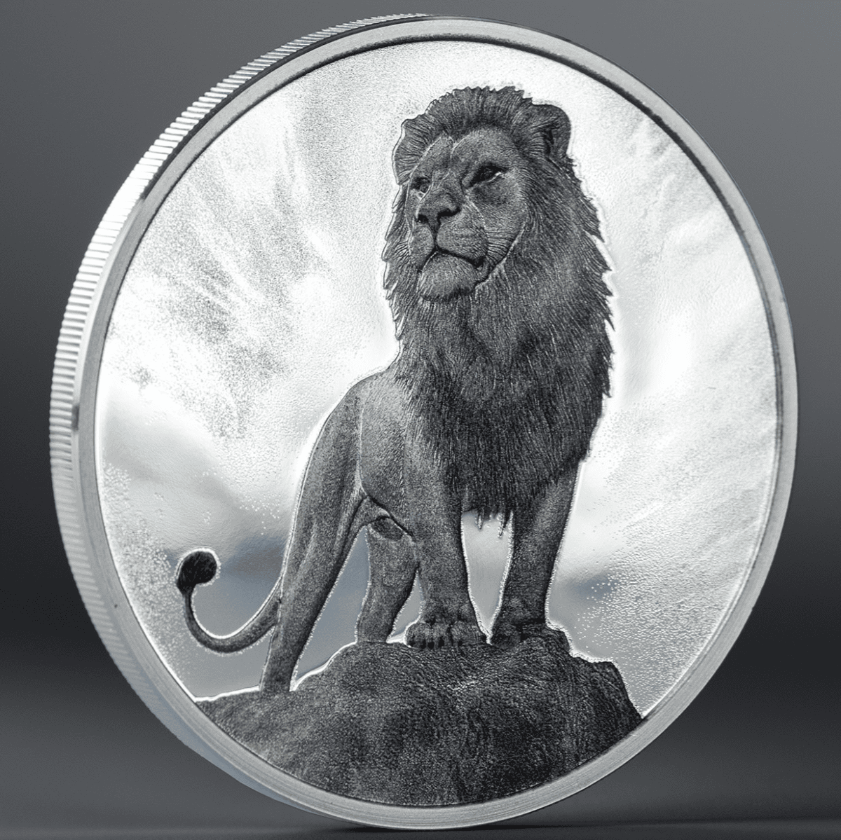 Majestic lion on a silver coin, 2026, Cook Islands mint, 1 oz weight, featuring the Pride theme in a detailed obliq.