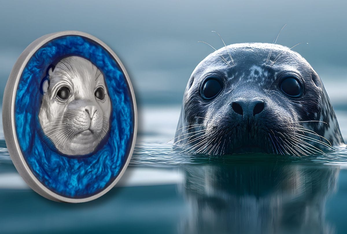 Above the Surface Seal 2026 silver proof coin, 1 oz, Cameroon mint, detailed underwater view, featuring a seal and.
